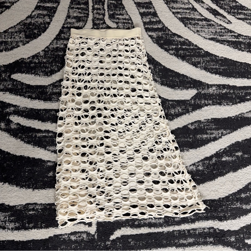 Zara Open-Knit Skirt